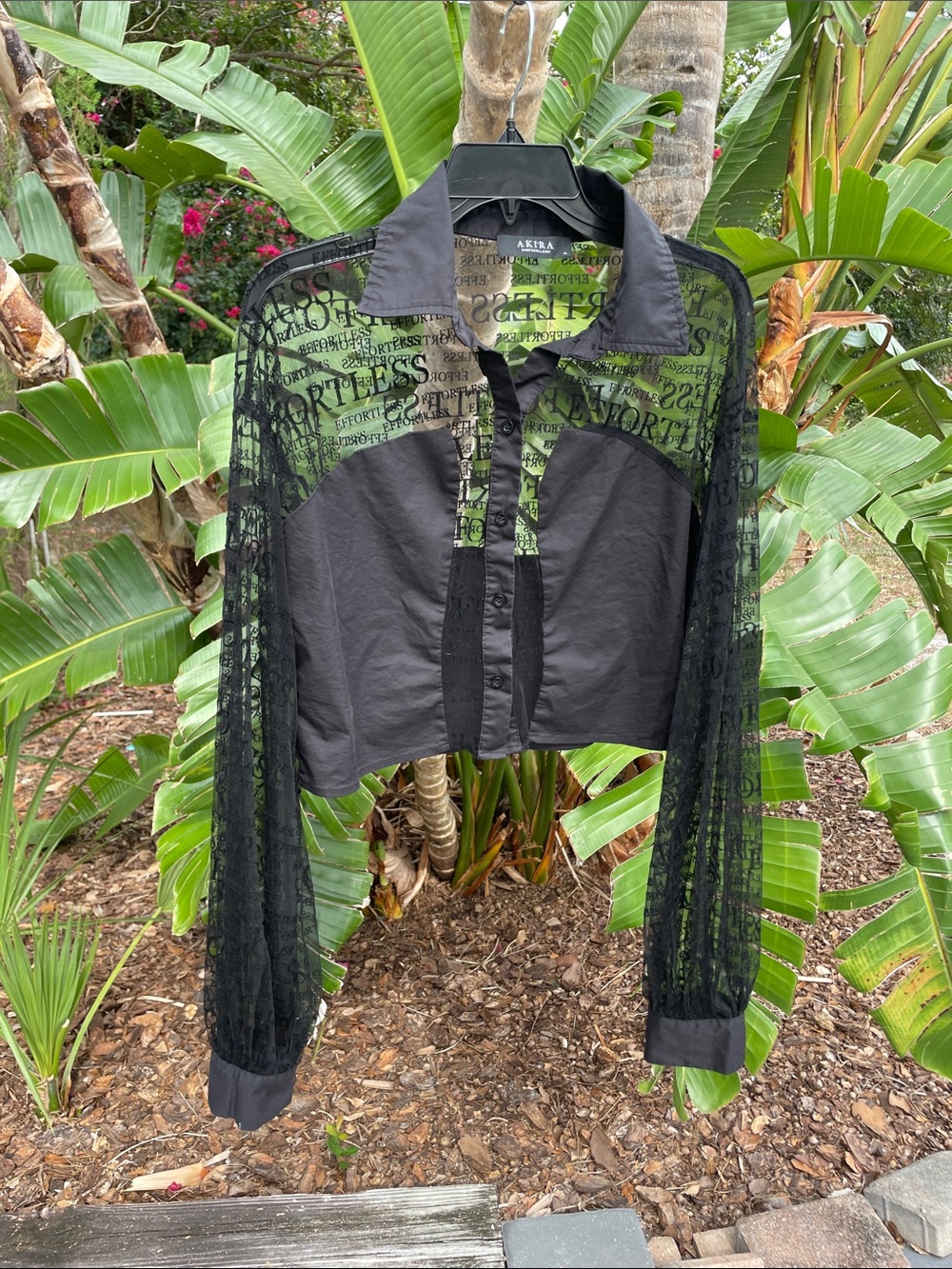 AKIRA Black Sheer Lace Cropped blouse Jacket
